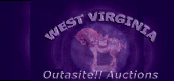 outasite_auctions_west_virginia001002.jpg