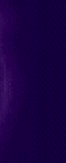 outasite_auctions_west_virginia001004.gif
